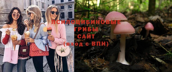 прущая мука Белокуриха