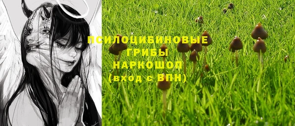 гидропоника Балабаново
