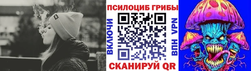 Галлюциногенные грибы Psilocybine cubensis  ОМГ ОМГ как зайти  Ладушкин 